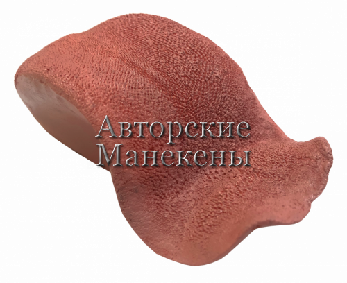 Язык леопард ЯЛП-2