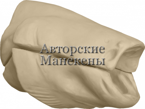 Манекен сом СОМТ-5