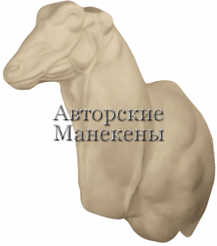 Манекен иланд (канна) ИЛДТ-2