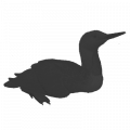 Гагарообразные Гагарообразные