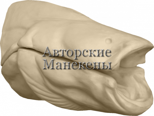 Манекен сом СОМТ-2
