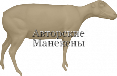 Манекен овца домашняя ОВДМ-1 П