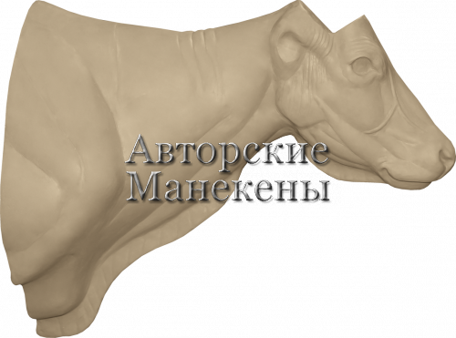 Манекен бантенг БНТТ-1