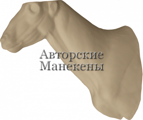 Манекен мархур (винторогий козел) МРХТ-2