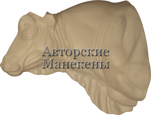 Манекен бык БЫКТ-1